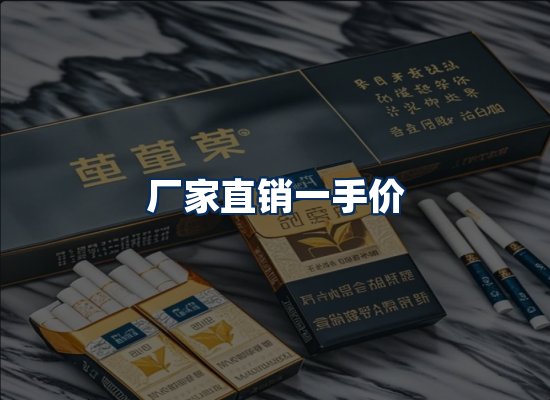 专业团队办公环境